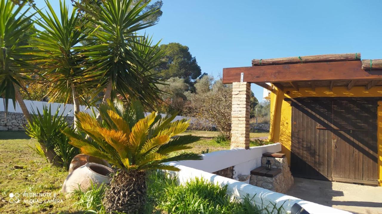 Casa Con Vistas, Piscina Y Animales De Granja, La Caseta Tarragona Zewnętrze zdjęcie