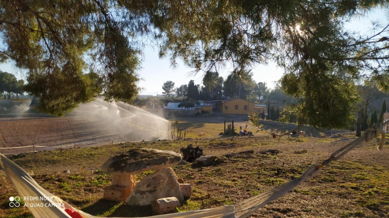 Casa Con Vistas, Piscina Y Animales De Granja, La Caseta Tarragona Zewnętrze zdjęcie