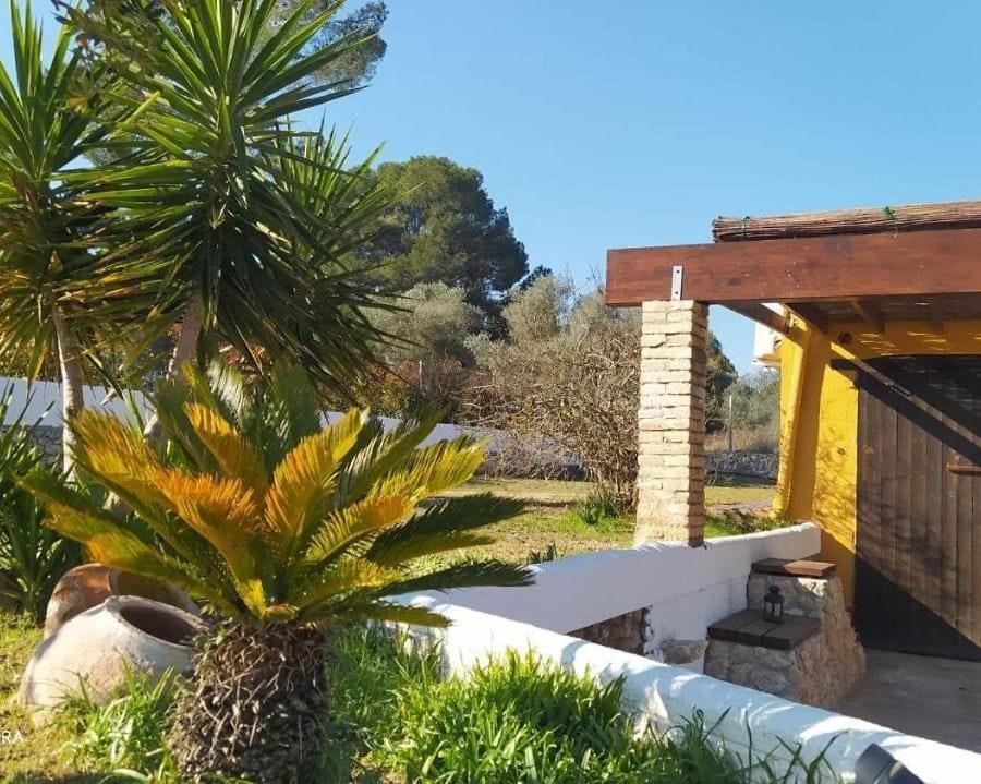 Casa Con Vistas, Piscina Y Animales De Granja, La Caseta Tarragona Zewnętrze zdjęcie